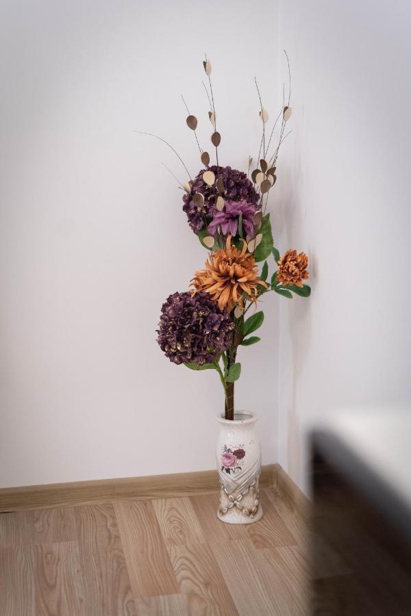 Isaran Coresi Apartment Brašov Exteriér fotografie
